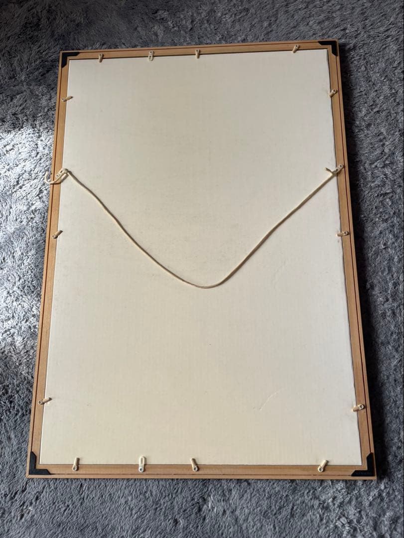 AKIRA 大友克洋　パズル完成品　鉄雄