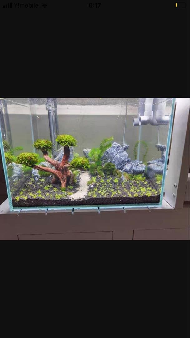 ポンプ25wろ材付きホースマット付き大型水槽万能濾過装置濾過外部式濾過層送料込み