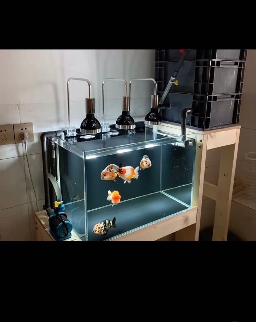 ポンプ25wろ材付きホースマット付き大型水槽万能濾過装置濾過外部式濾過層送料込み