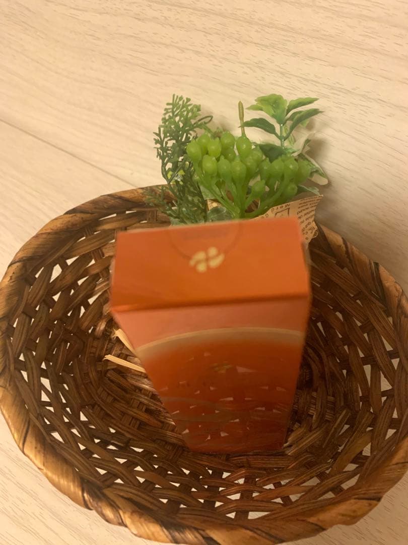 アジュバン　AE ターナリー