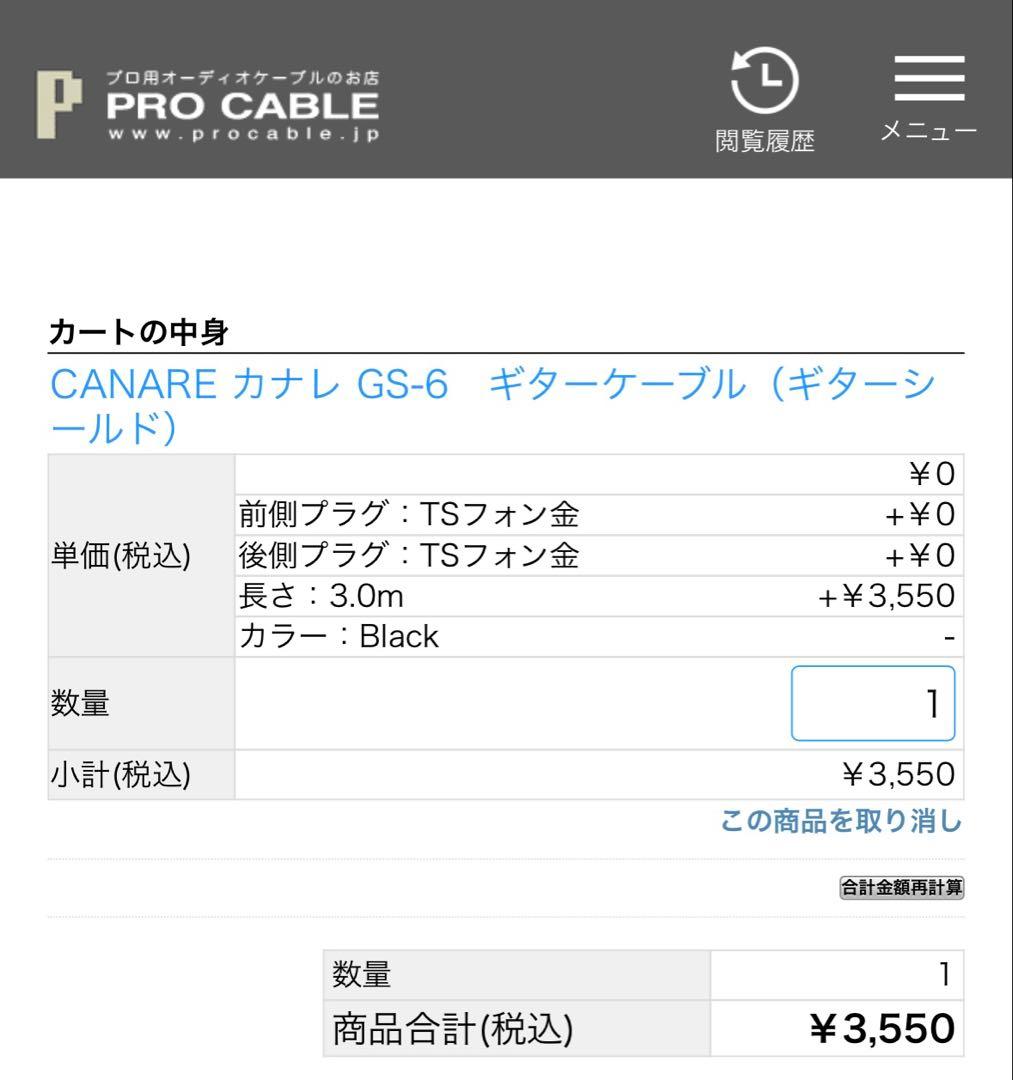 【美品】 YAMAHA REVSTAR RSS20／ケース付き 即演奏OK！