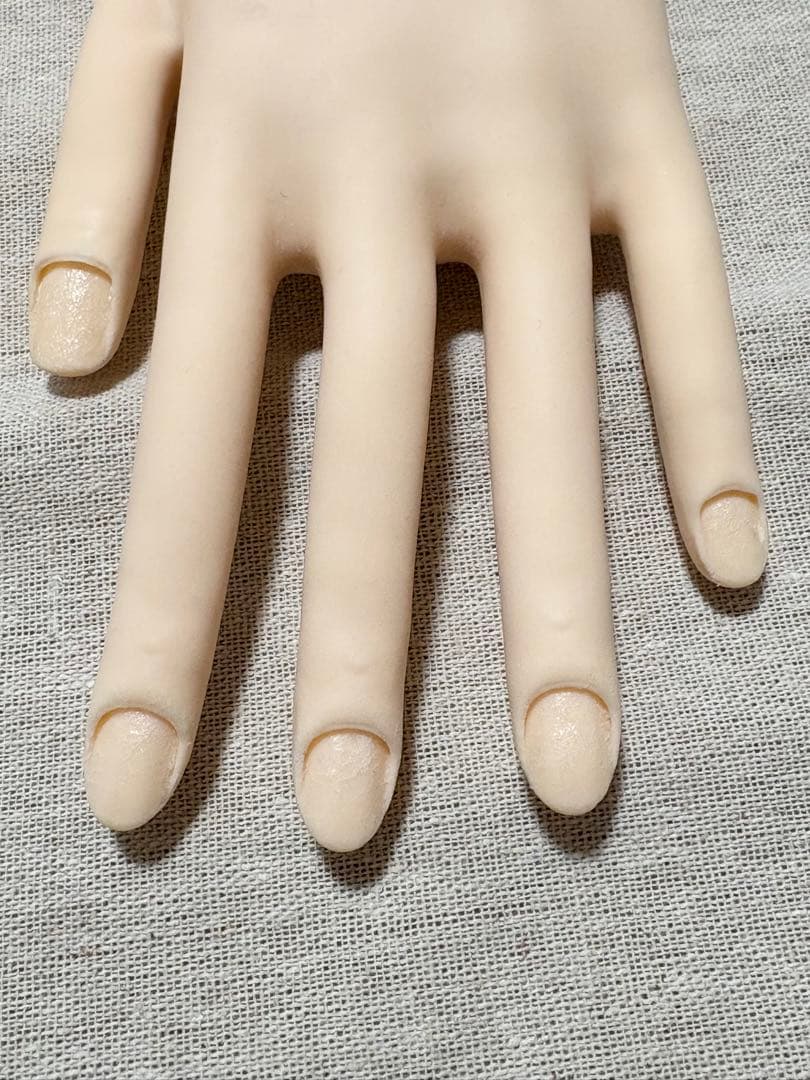 JNEC認定モデルハンド　チップ付き