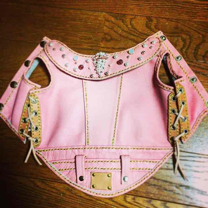 オーダー受けます！アトリエ09オリジナルドックライダース！トイプードル 犬 服