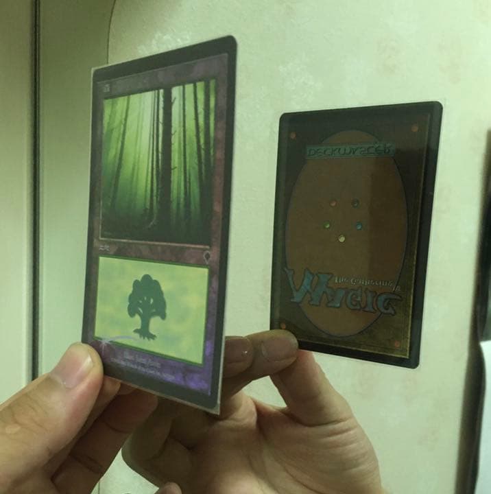 裏表反転　エラーカード　森　インベイジョン　foil