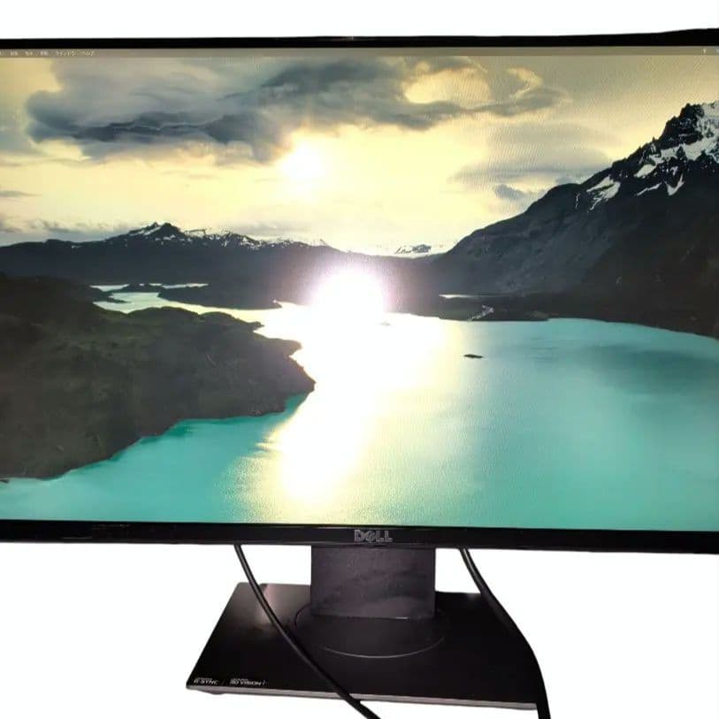 DELL 24インチ 165Hz ディスプレイ S2417DG WQHD