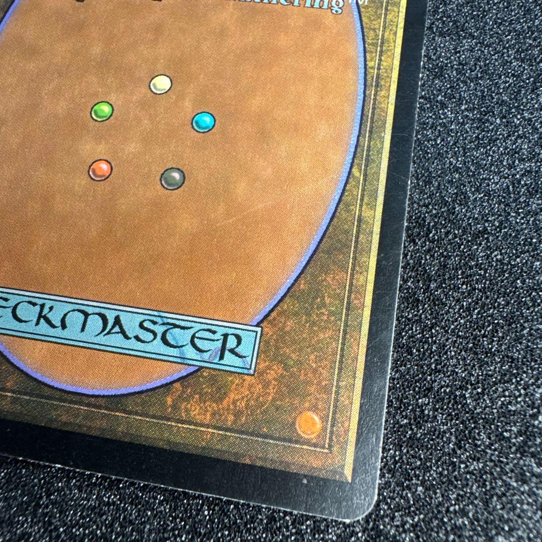 MTG EDH セファリッドの幻術師 foil 日本語 トーメント