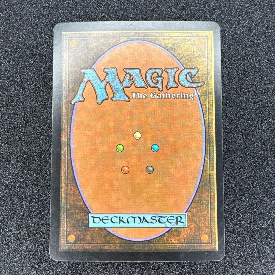 MTG EDH セファリッドの幻術師 foil 日本語 トーメント
