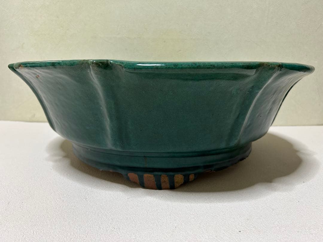 大型　広東鉢　盆栽鉢