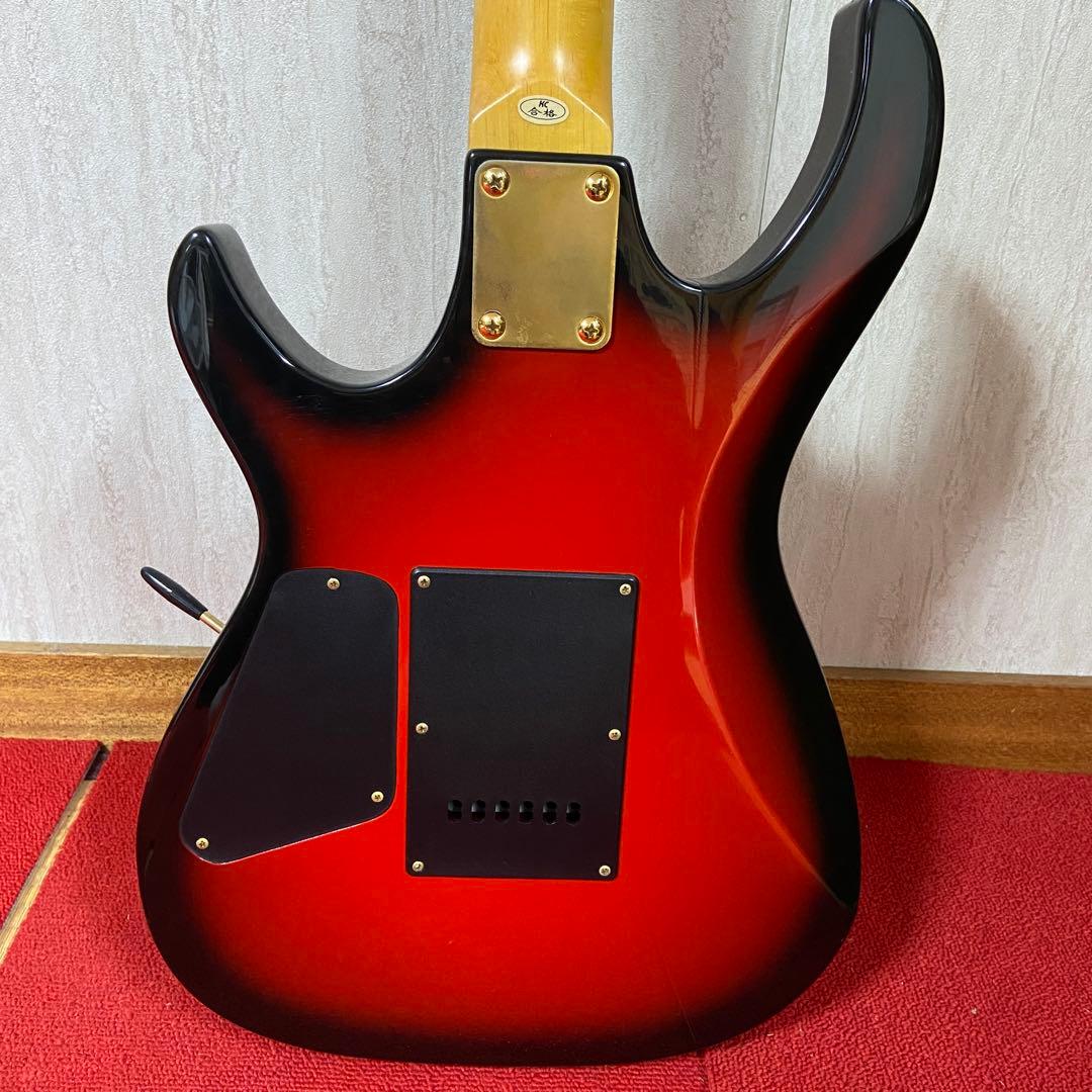 Anboy アンボーイ⭐️Fujigen フジゲン エレキ ギター