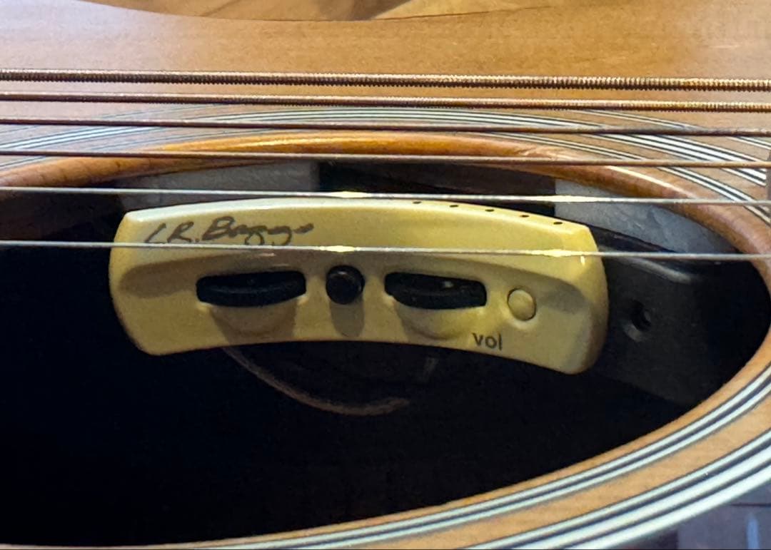 LRバグス アンセム PU付き❗️ マーチン Martin OOO-1R