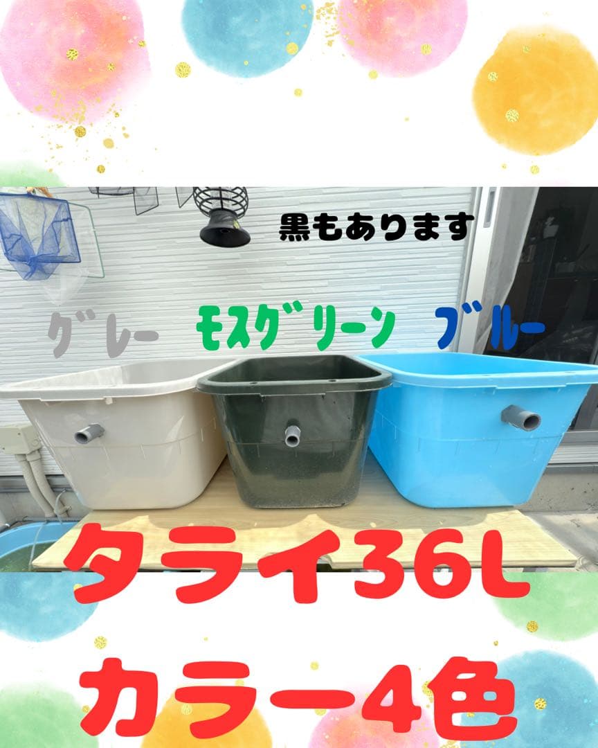 ★お買い得★たらい36L(5個)メダカ飼育容器オーバーフロー トロ舟プラ舟めだか