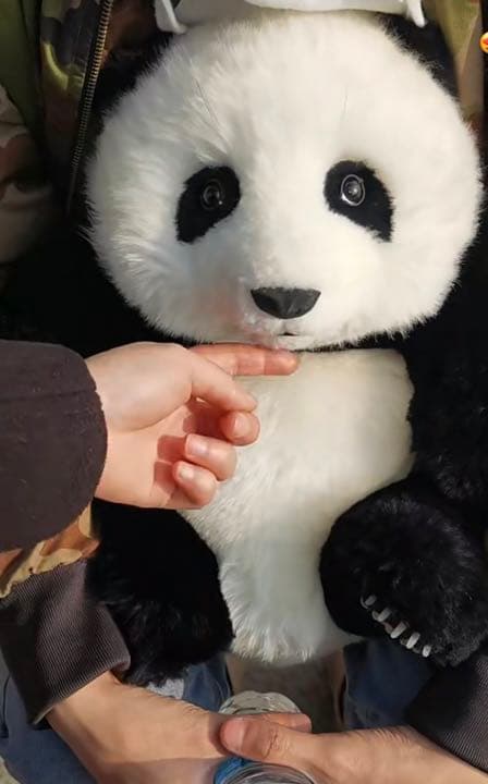 パンダぬいぐるみ 本物に近い　職人ハンディクラフト