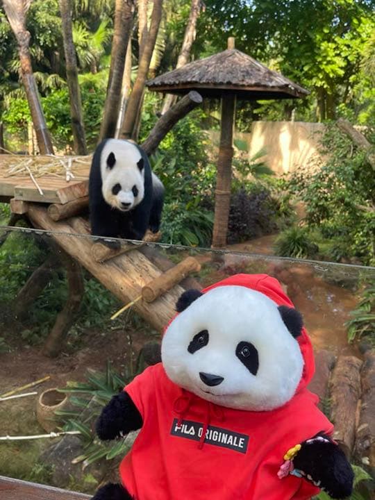 パンダぬいぐるみ 本物に近い　職人ハンディクラフト