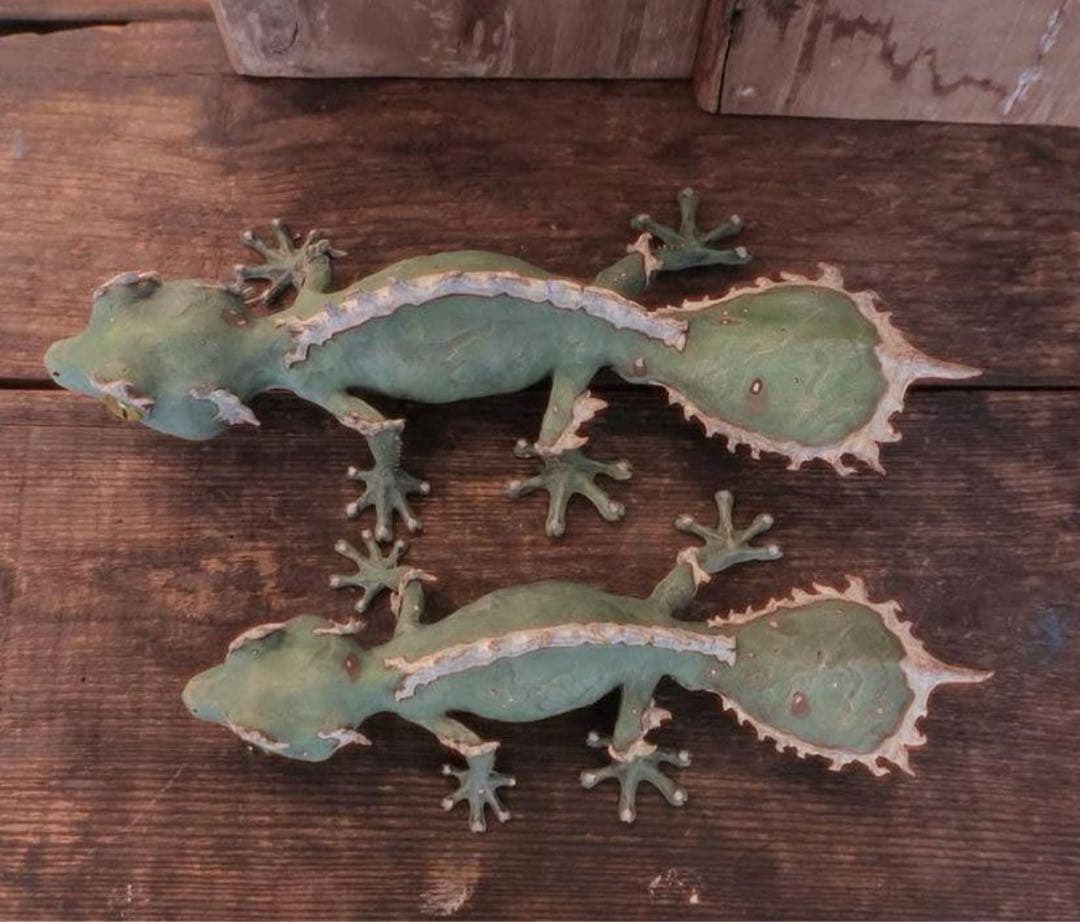 owzrt オズワートGecko Oteroi Satanic Agaveセット