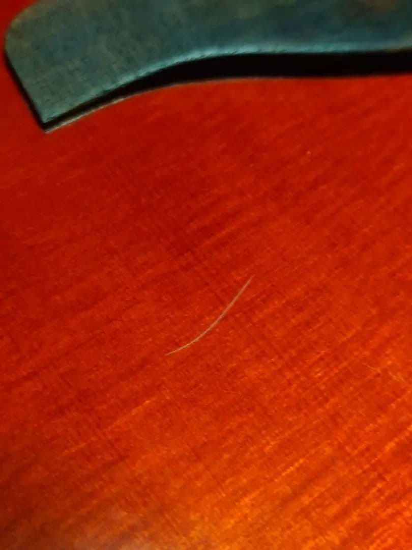 トップ単板　ヤマハ　FG730S ハードケース付き