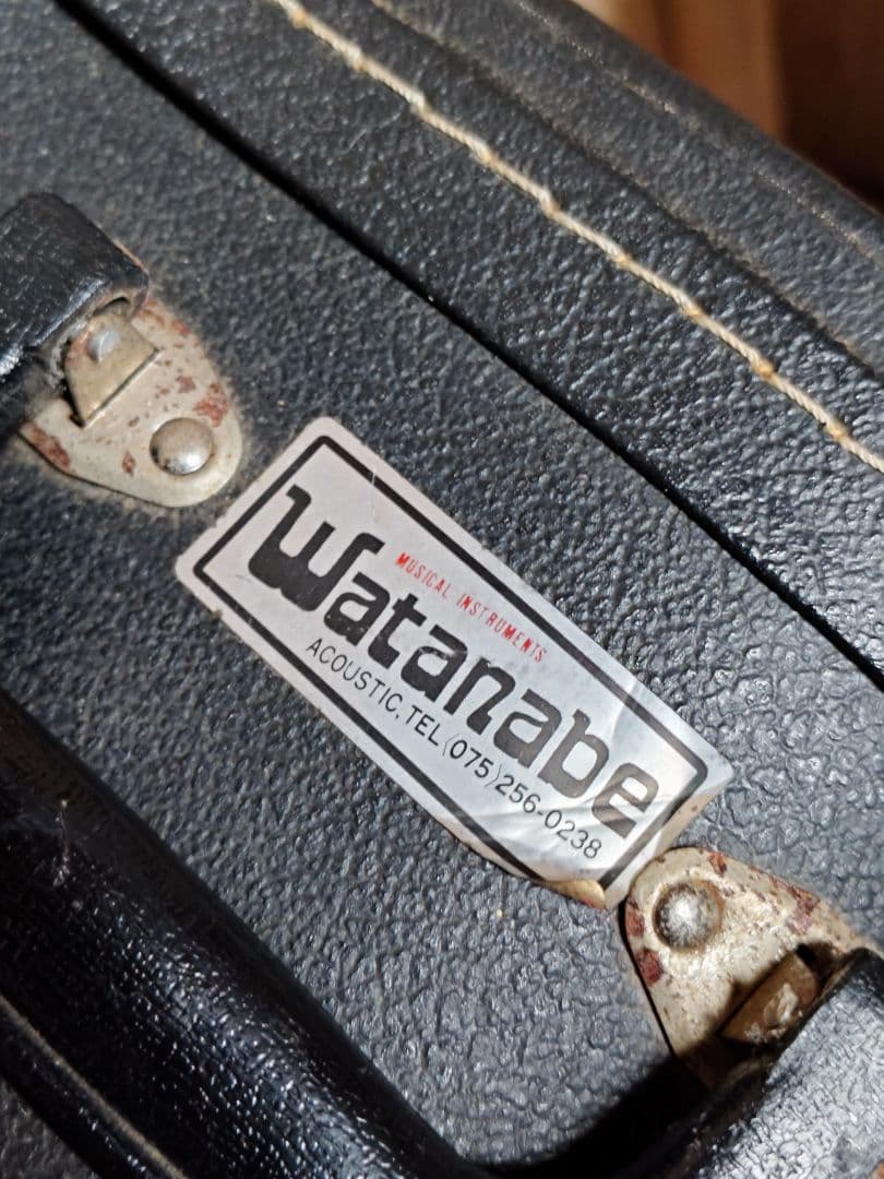 トップ単板　ヤマハ　FG730S ハードケース付き