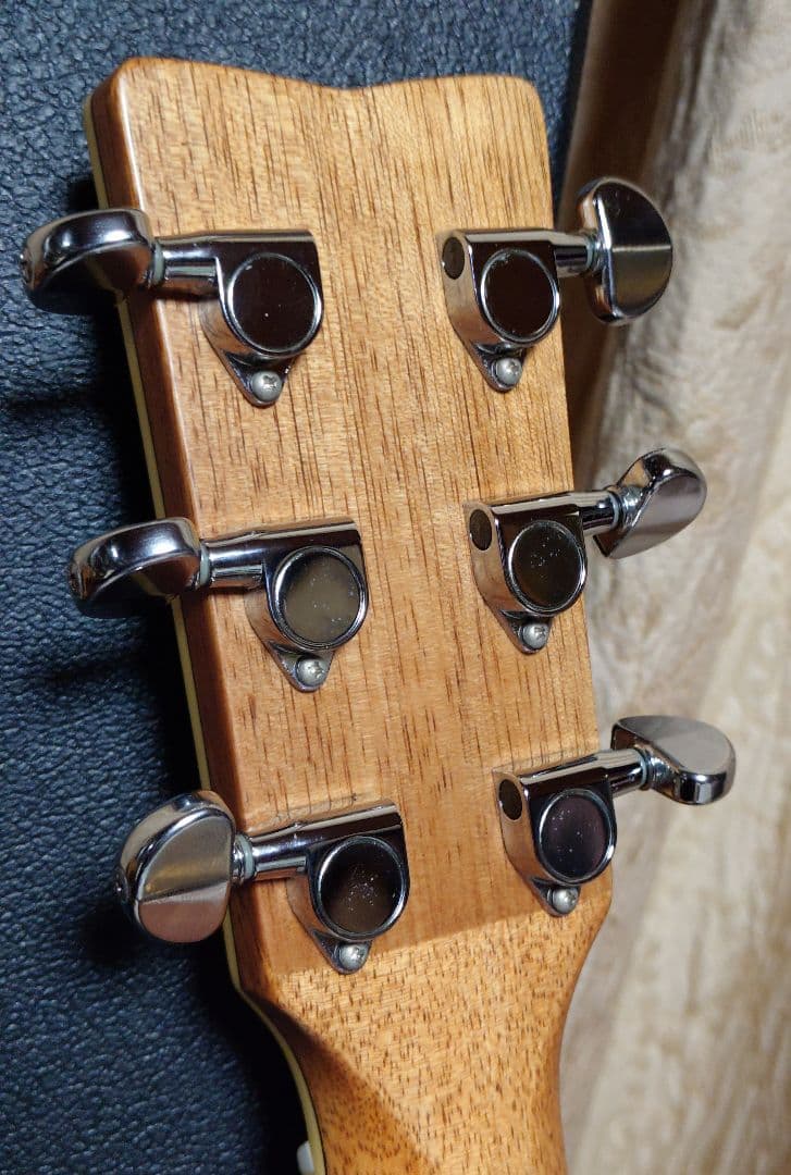 トップ単板　ヤマハ　FG730S ハードケース付き