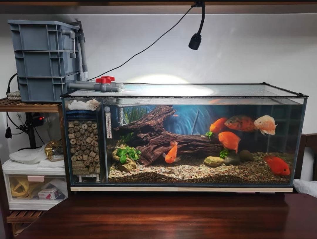 水槽池濾過器、1段階ろ材満タン付き三段式万能濾池大型水槽濾過層フィルター送料込み