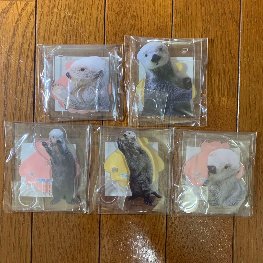 カプくじ×鳥羽水族館　ラッコのメイちゃんくじリターンズ！