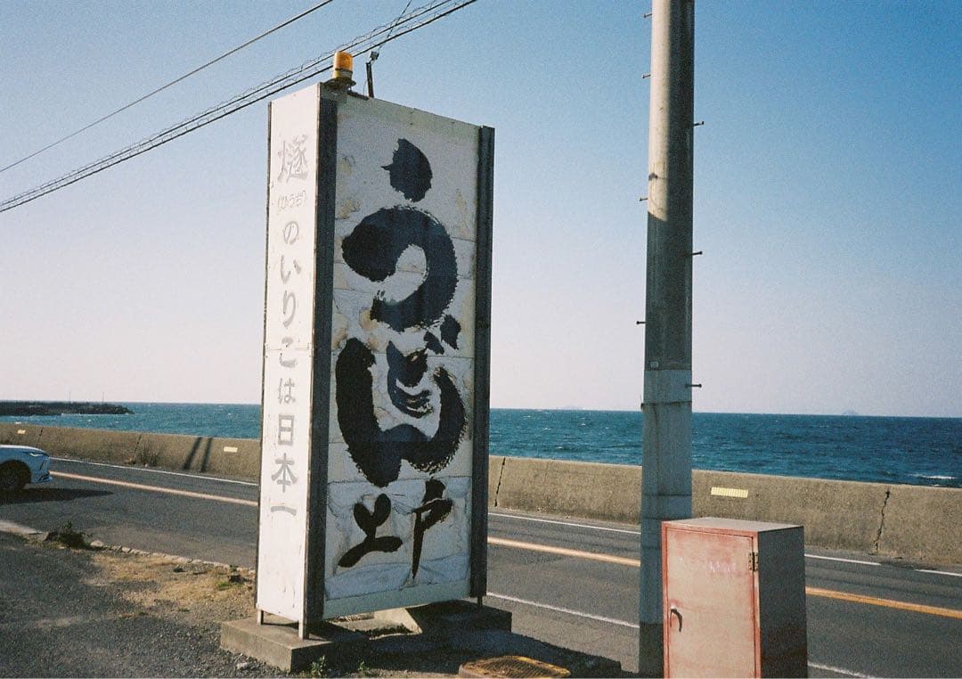 Slim T コンパクトフィルムカメラ