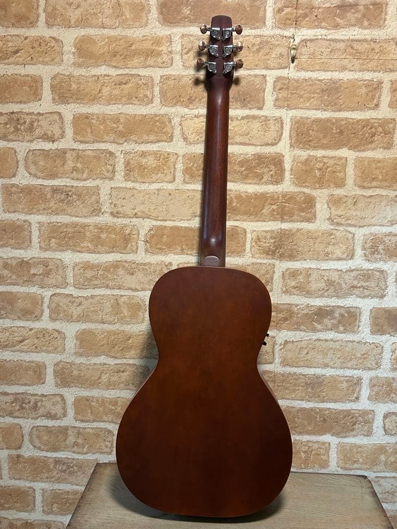 seagull grand(ハードケース付き エレアコ)