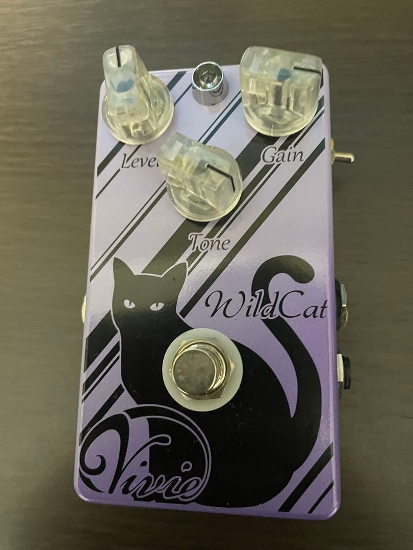 【シュウ】Vivie WildCat ギターエフェクター