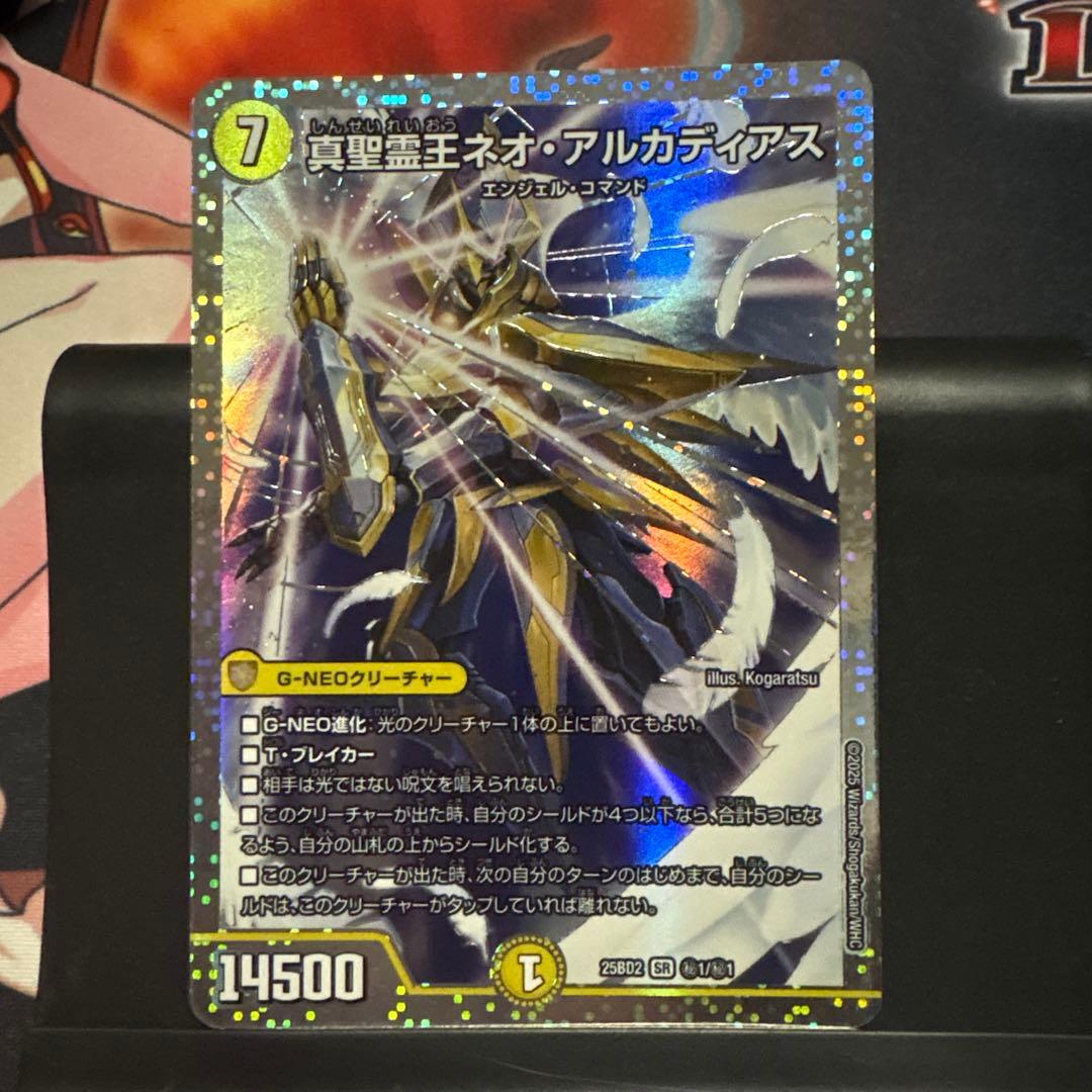 真聖霊王ネオアルカディアス シークレット