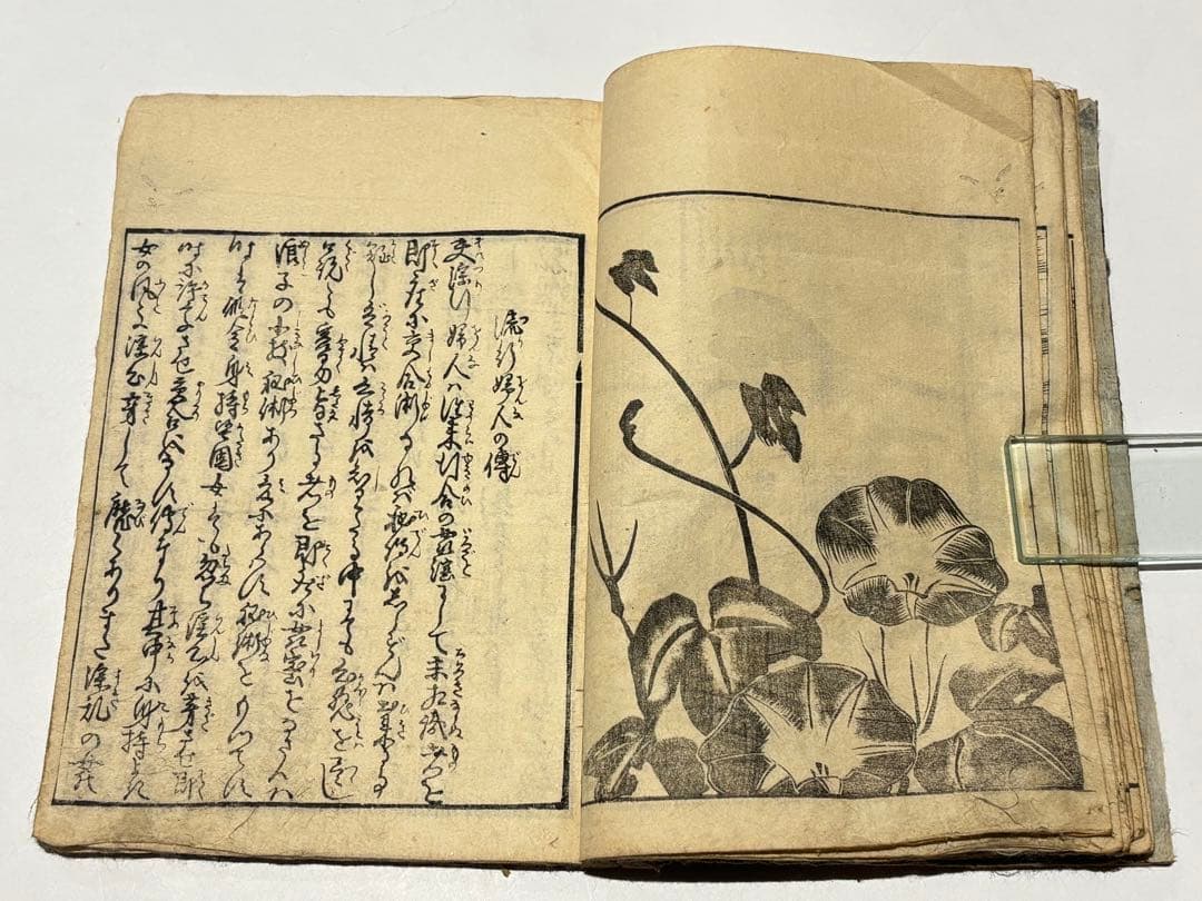 「艶本 里気色（艶本虎之巻）」速水春暁斎画 木版画 揃3冊|春画 和本 浮世絵