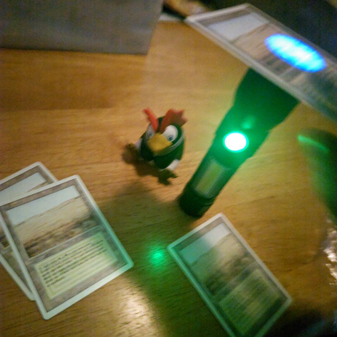 【断捨離】MTG savannah ４枚