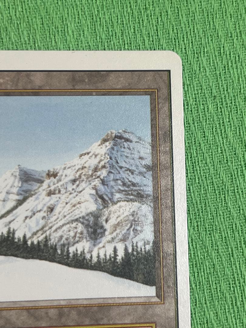 マジック：ザ・ギャザリング MTG Taiga