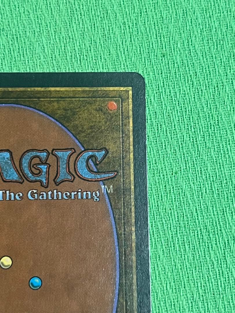 マジック：ザ・ギャザリング MTG Taiga