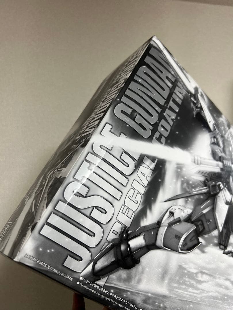 MG 1/100 ジャスティスガンダム [スペシャルコーティング]