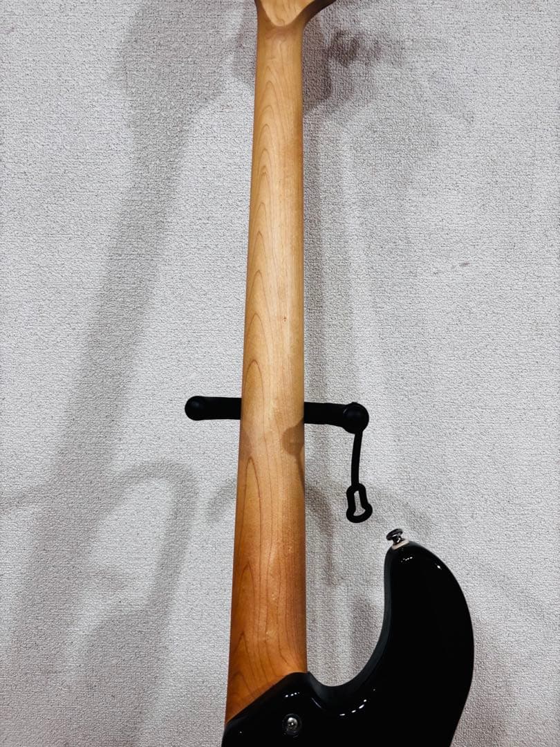 レイクランド　LAKLAND Skyline Series SK-4CL