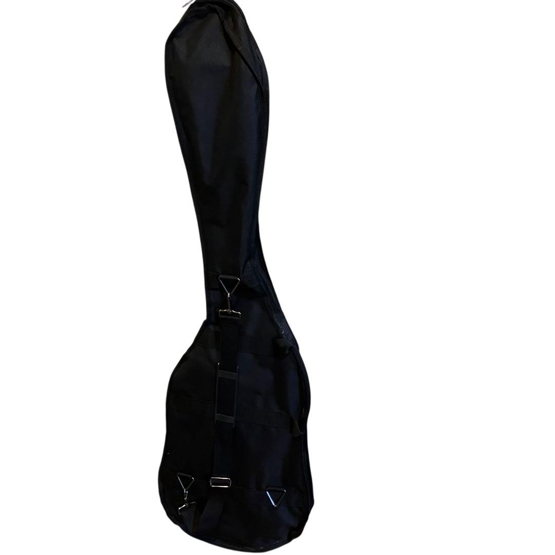 Epiphone VIOLA BASS エピフォン ビオラベース