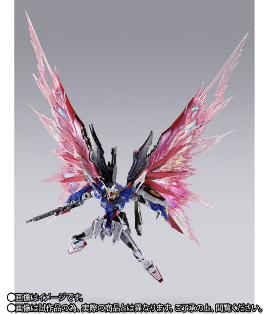 L BUILD 2024　デスティニーガンダム (フルパッケージ)