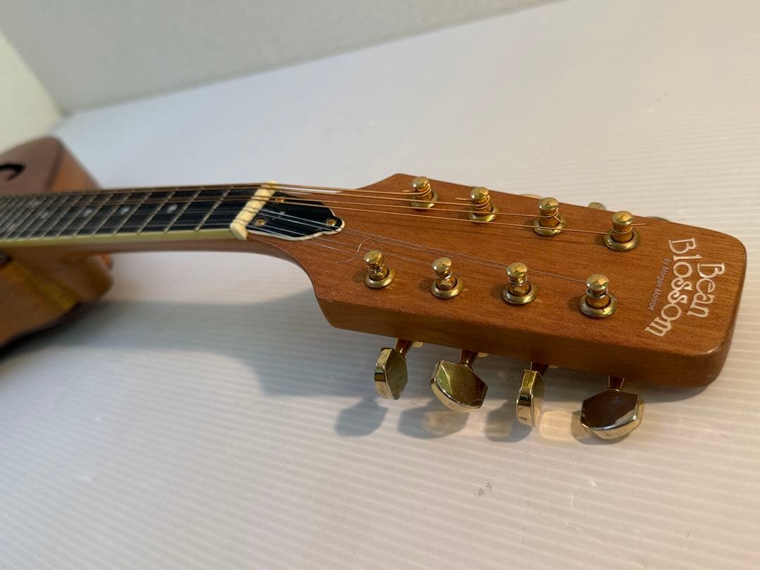 フラットマンドリンBeanBlossom By Morgan Monroe