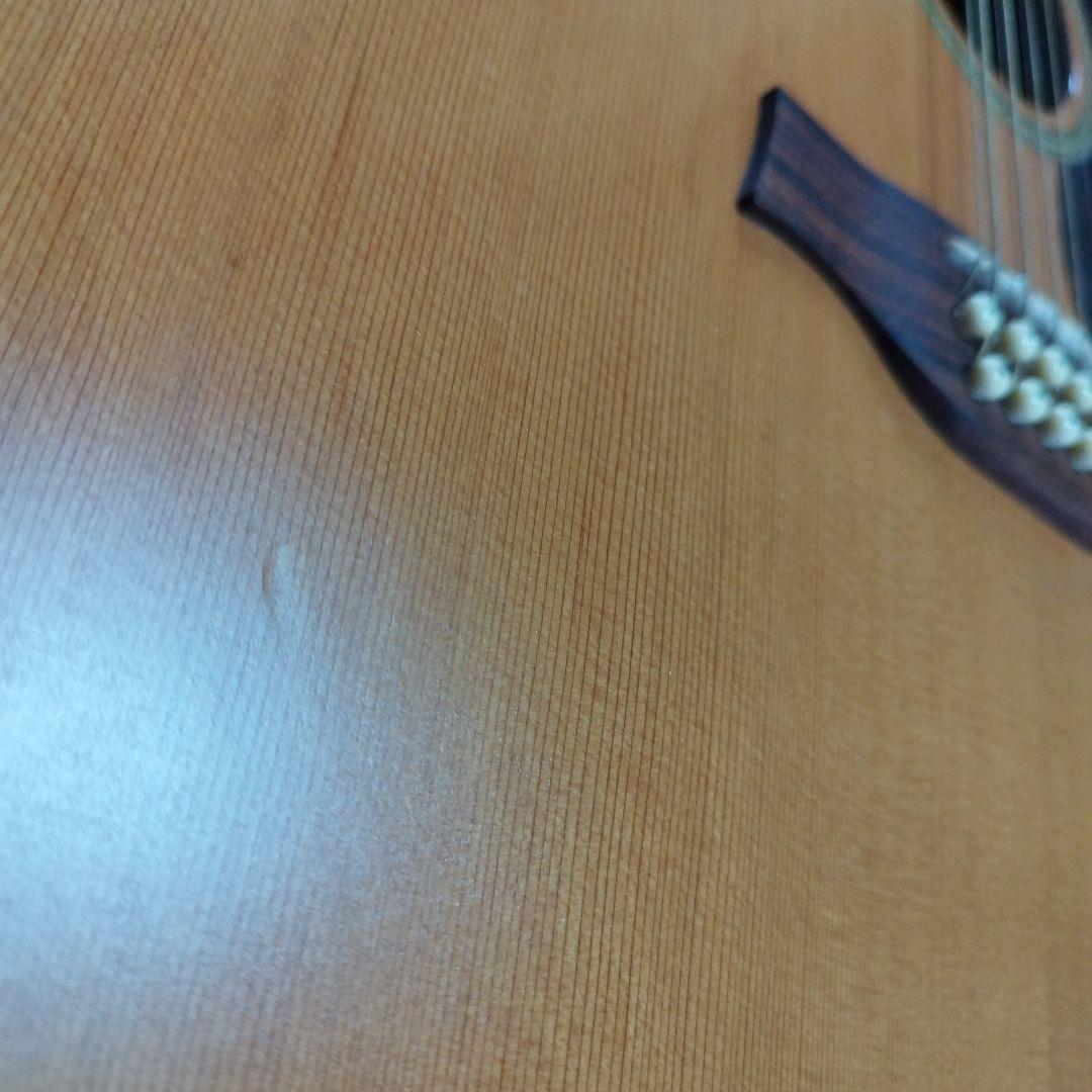 Seagull シーガル Coastline S12 Cedar Guitar