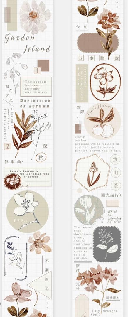 《在庫ラスト最終値下げ》海外 マスキングテープ雀斑茶 6点⚠️pet（33.324