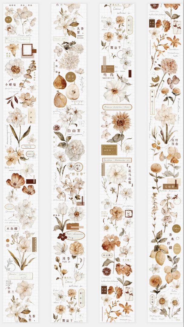 《在庫ラスト最終値下げ》海外 マスキングテープ雀斑茶 6点⚠️pet（33.324