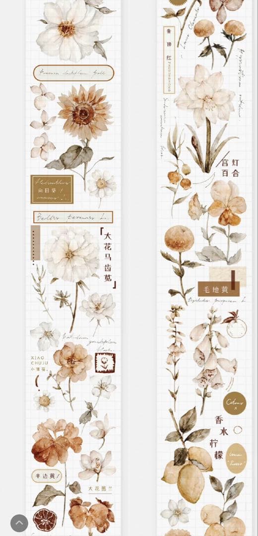 《在庫ラスト最終値下げ》海外 マスキングテープ雀斑茶 6点⚠️pet（33.324