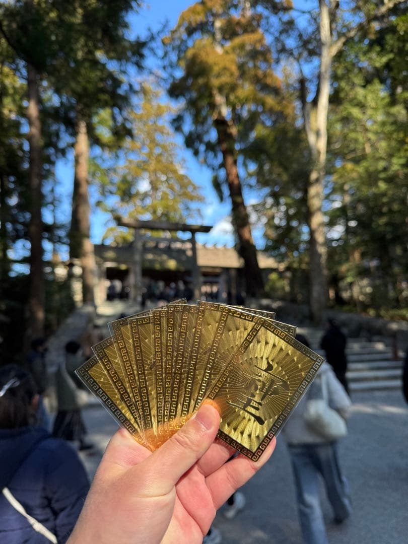 稀少 本物 プレミア 破格 ナミビア産のギベオン 14mm