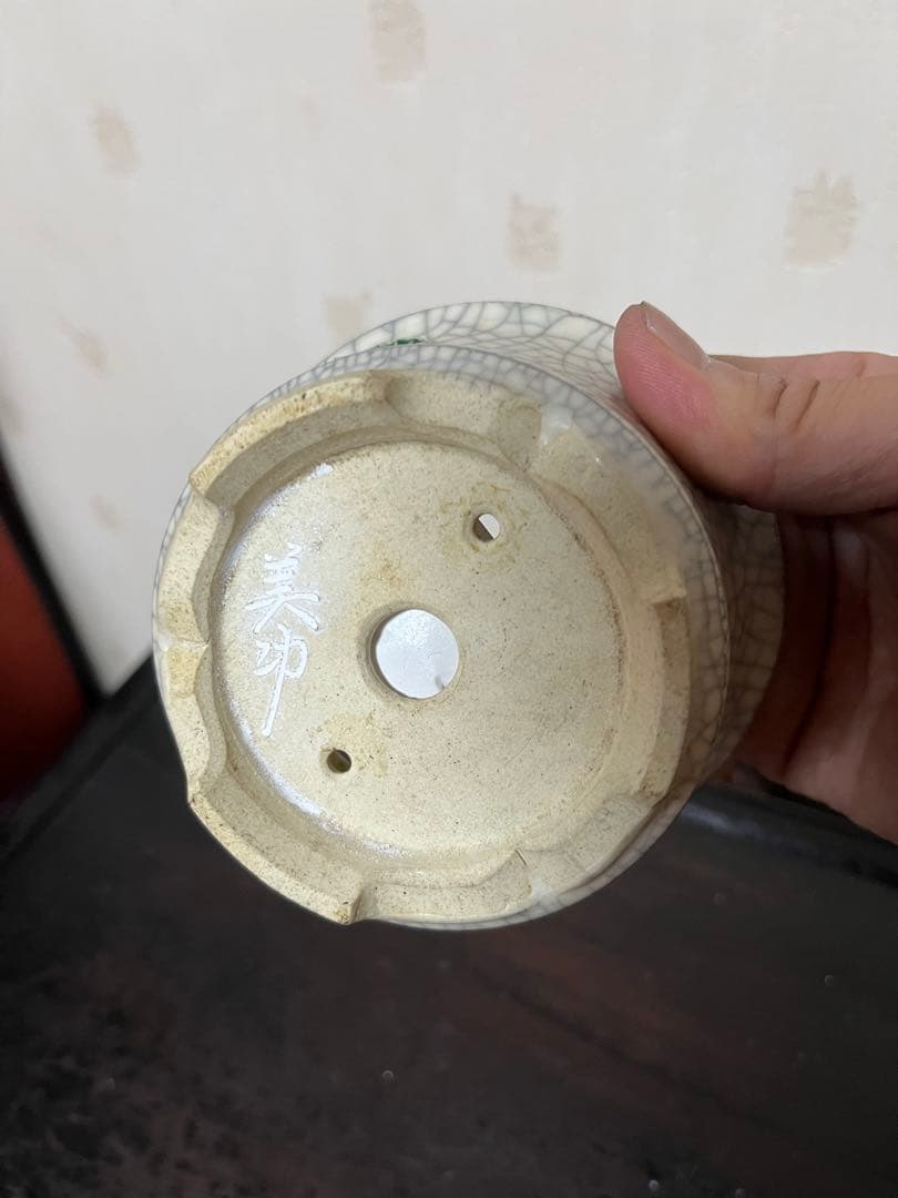 380 盆栽　盆栽鉢　植木鉢　和鉢　美功