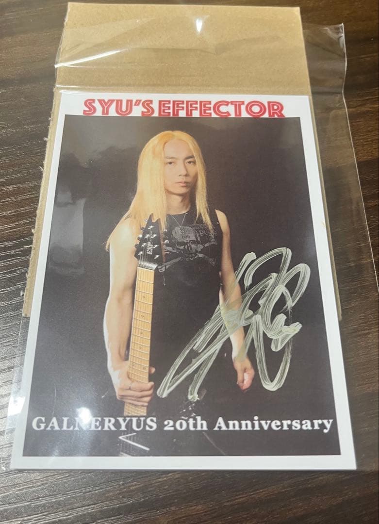 限定2台　SHE-MGV2 ギターエフェクター　syu galneryus