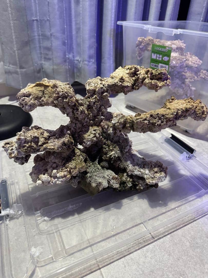 人工ライブロック 2点セット 90cm水槽 サンゴ 海水 アク抜き済み