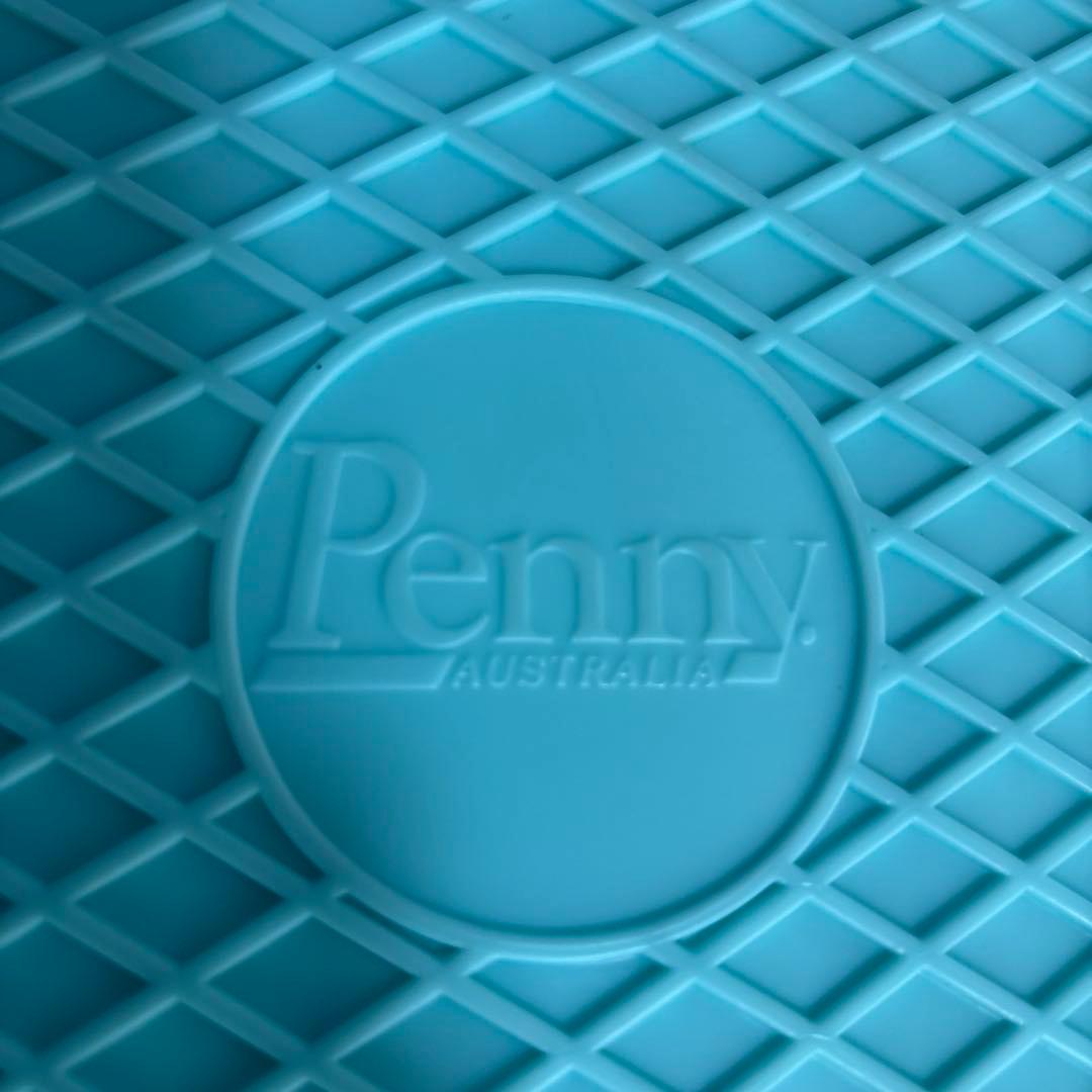 Penny パステルシリーズ ミント 22インチ