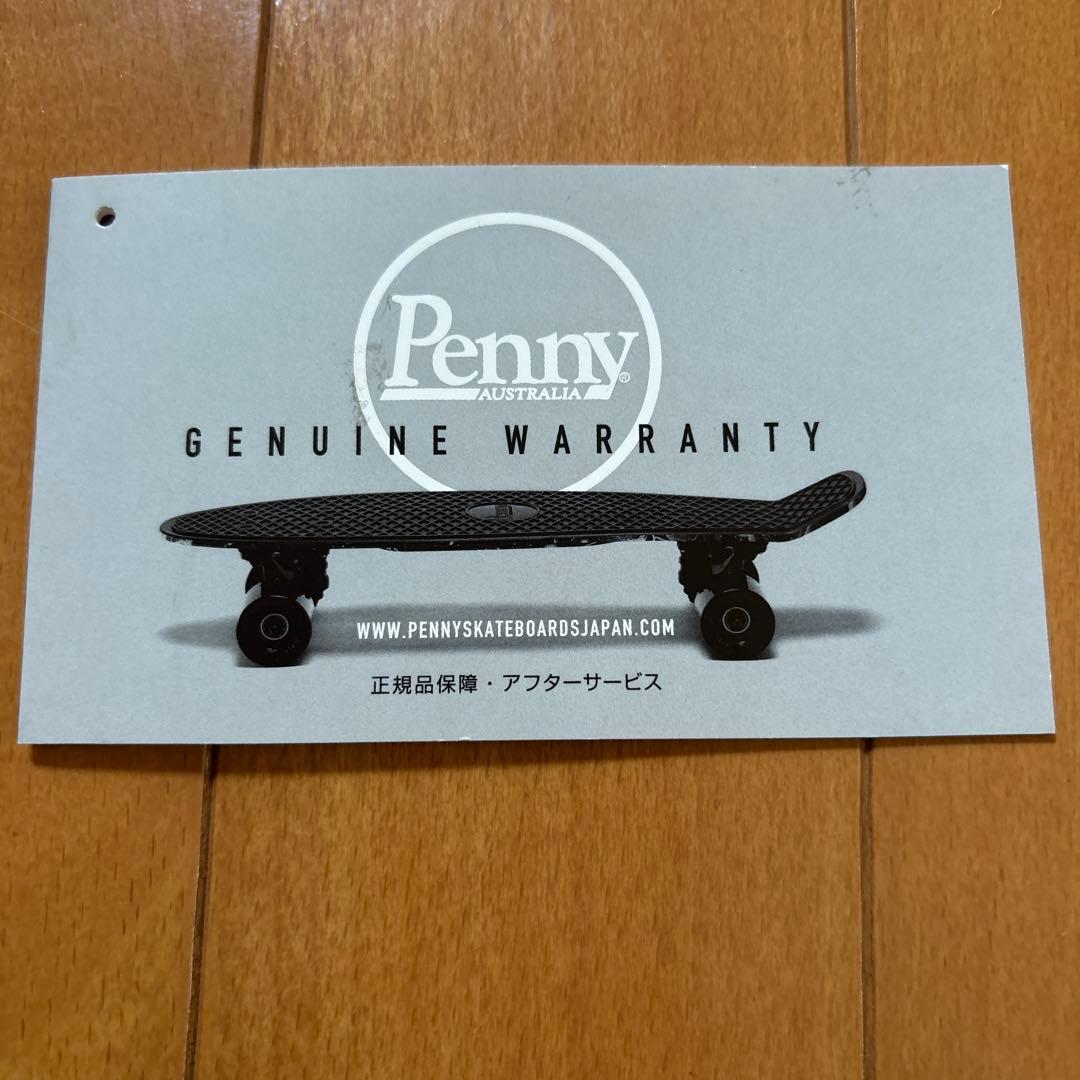 Penny パステルシリーズ ミント 22インチ