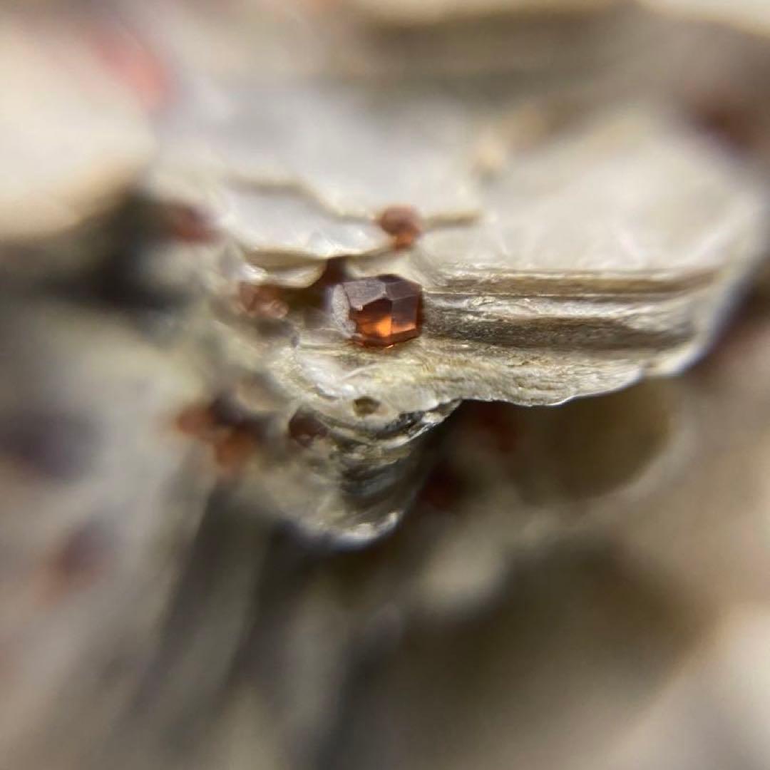 パキスタン産 白雲母上の満礬柘榴石 モスコバイト スペサルティン 外国産鉱物標本