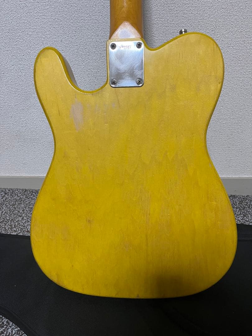 レゲエマスター　プロト　MOD テレキャスター