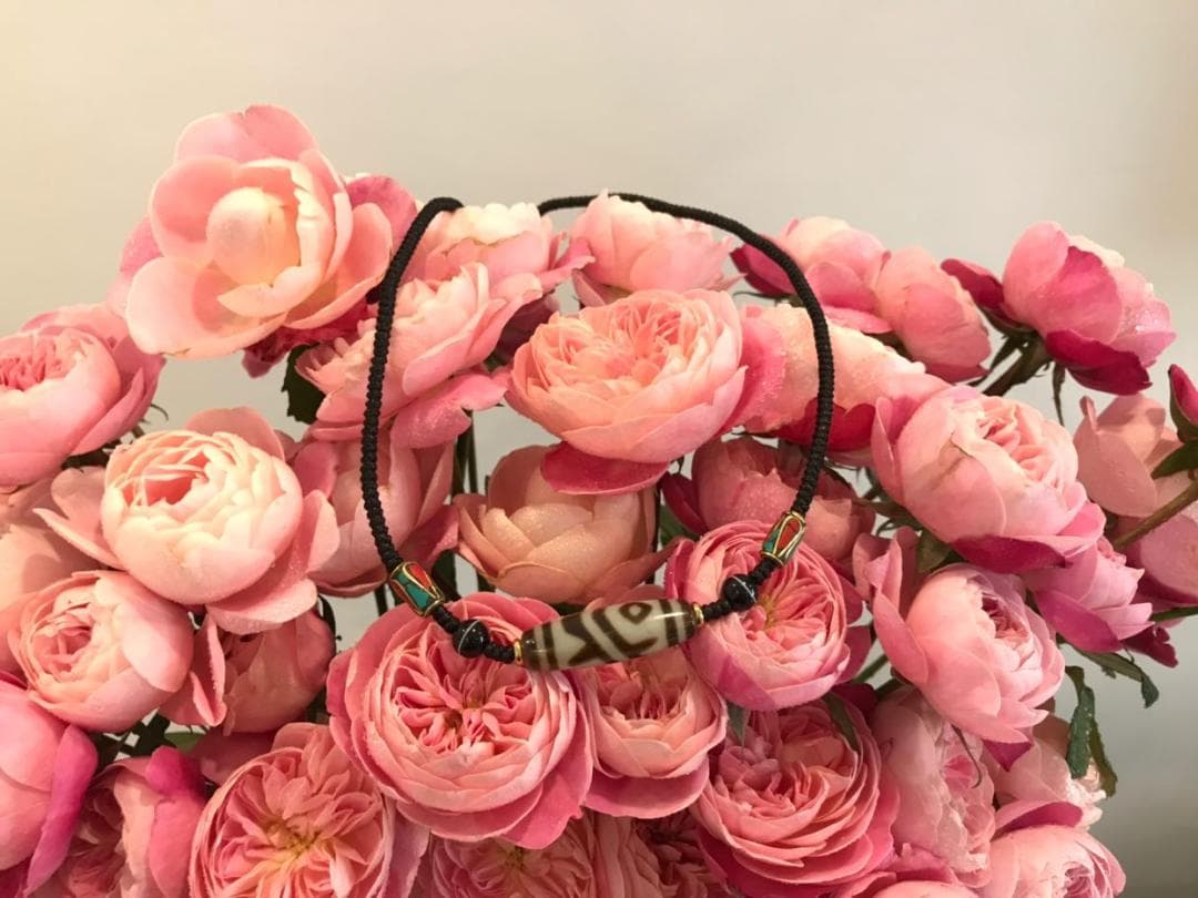 ☘️超レア 双魚金剛二眼天珠 ジービーズ Dzi　ネックレス