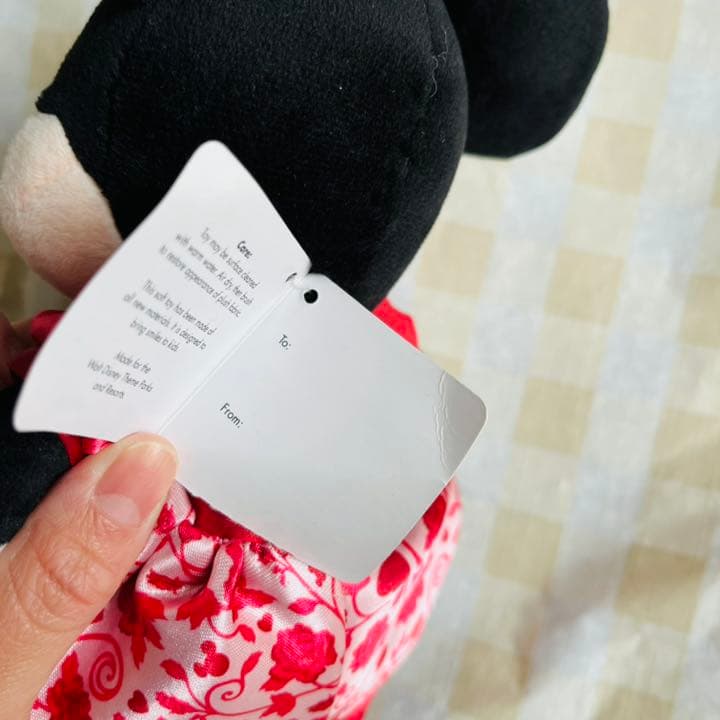 WDW Disney Parks限定　ミニー×ダッフィー　ハグぬい